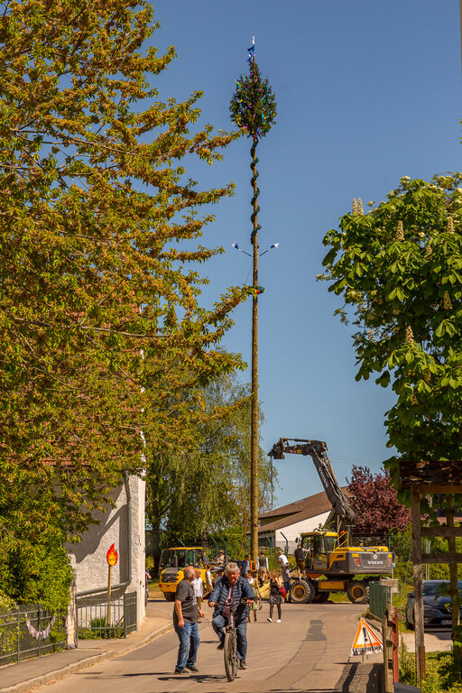 Image: _JA 31593 Maifest Hohenried 2026.jpg